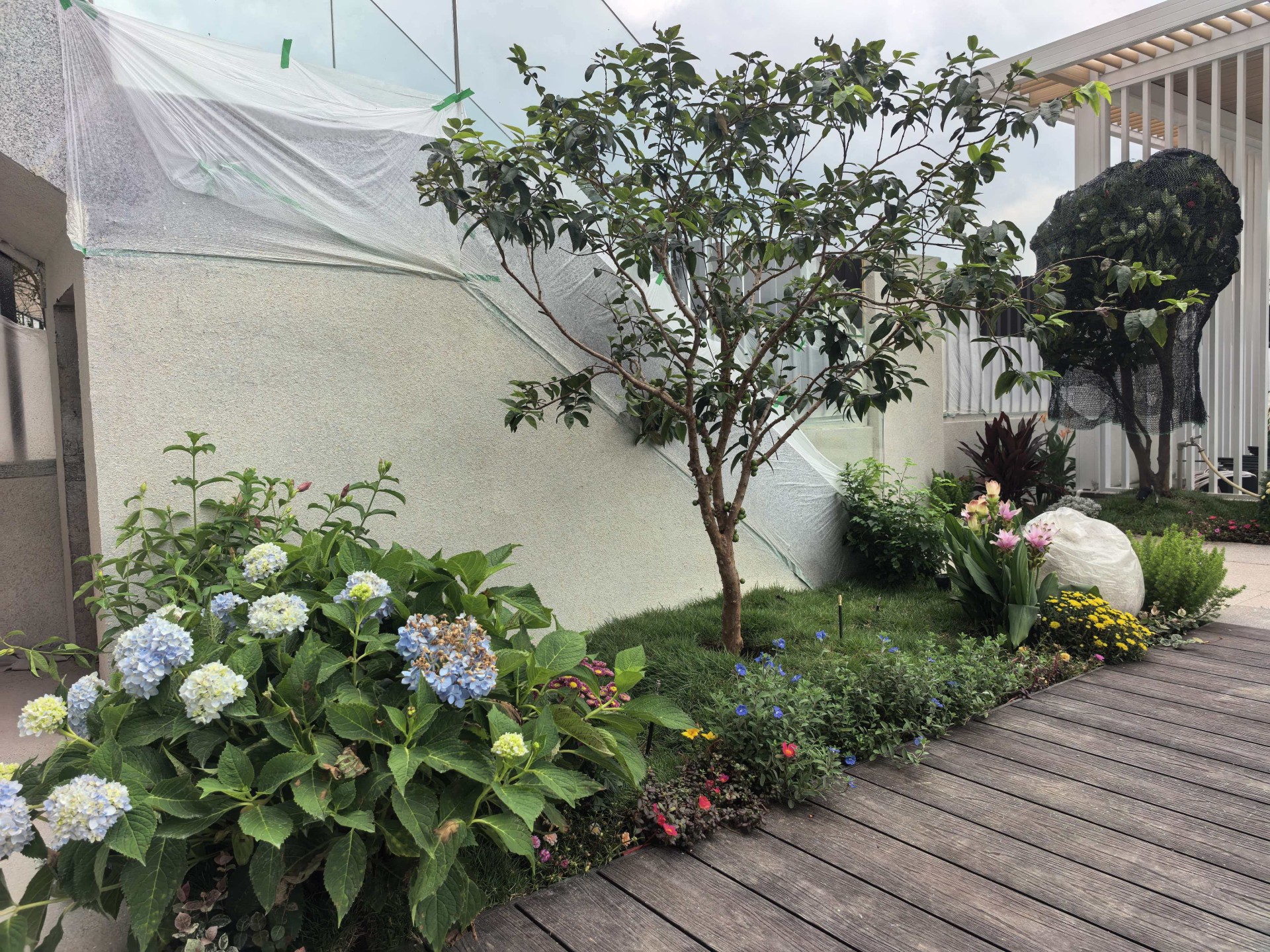 实景观案例